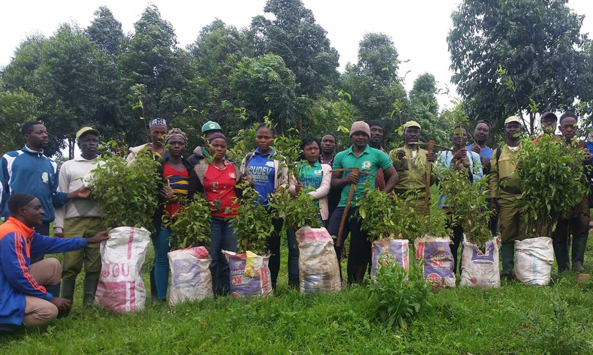 1719490667230029_Kamerun_Tree-planting_01.jpg